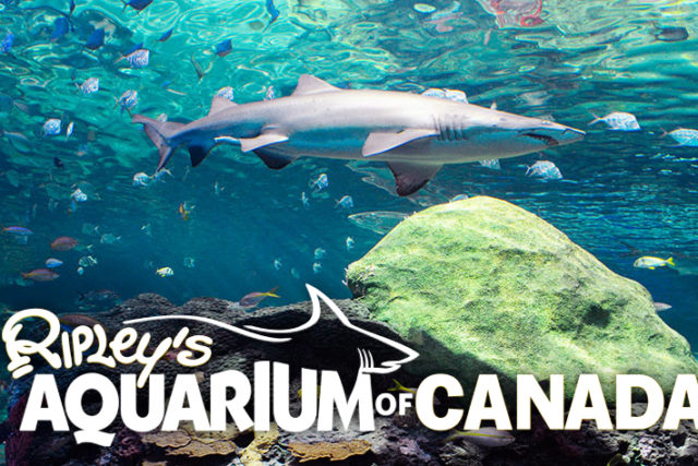 Ripley's Aquarium of Canada