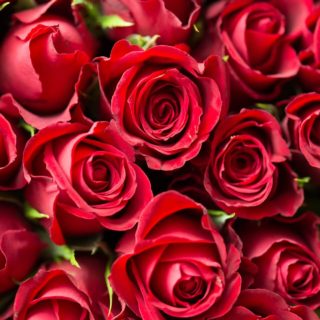 Valentine Special Occasion ideas with Date Ideas Canada