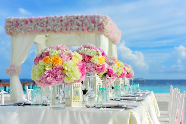 DreamGroup Weddings + Events