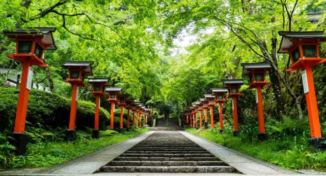 Botanical Gardens - Date Ideas Canada