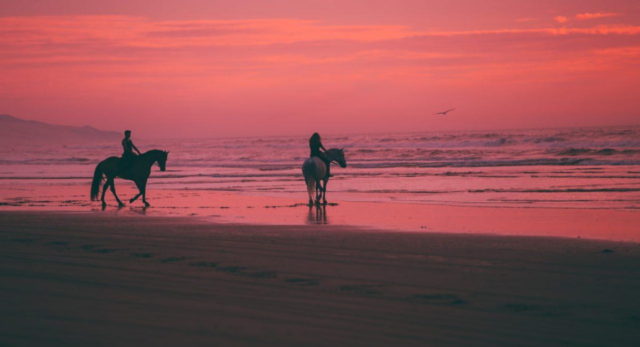 Horseback Ride - Luxury and Extravagance - Date Ideas Canada
