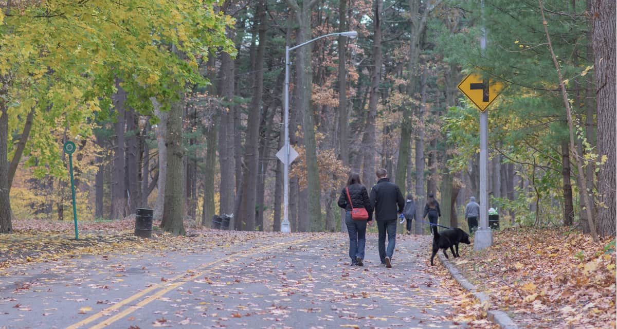 https://dateideascanada.com/wp-content/uploads/2020/10/Couple-Walking-in-Park-with-Dog-Fall-1200x640.jpg