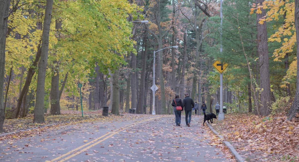 Couple Walking in Park with Dog - Fall - Date Ideas Canada