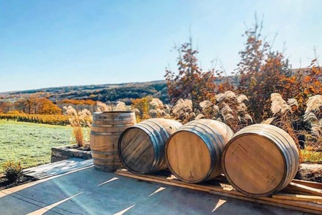 Grape Escapes Nova Scotia Wine Tours