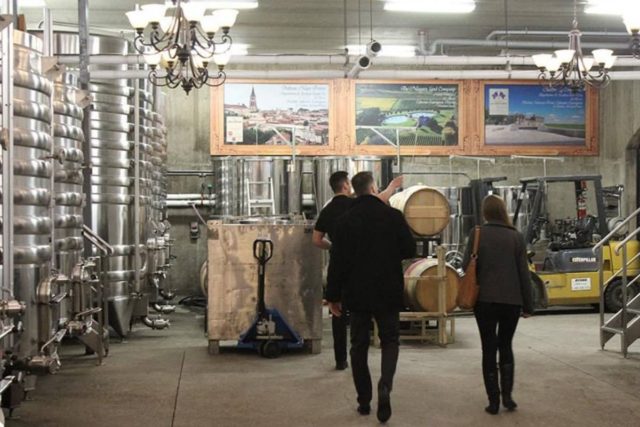 Niagara Vintage Wine Tours