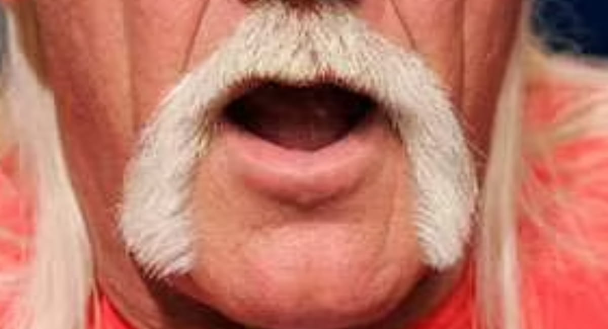 Movember - Hulk Hogan - Date Ideas Canada