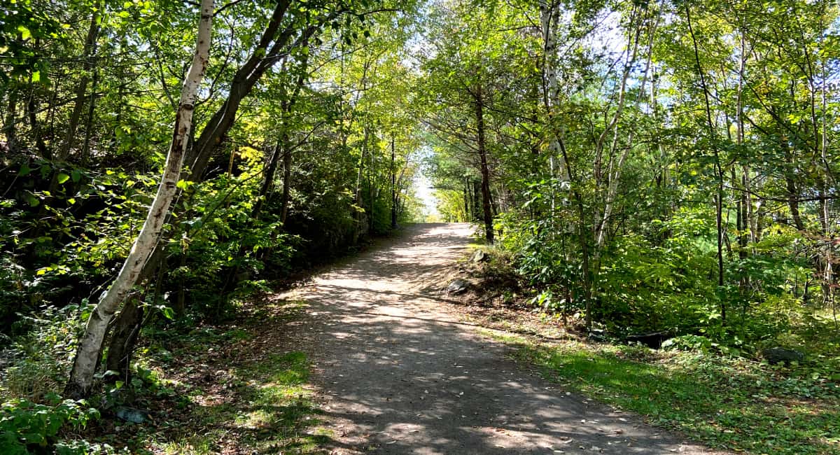 Hiking Trail - Parry Sound - Date Ideas Canada